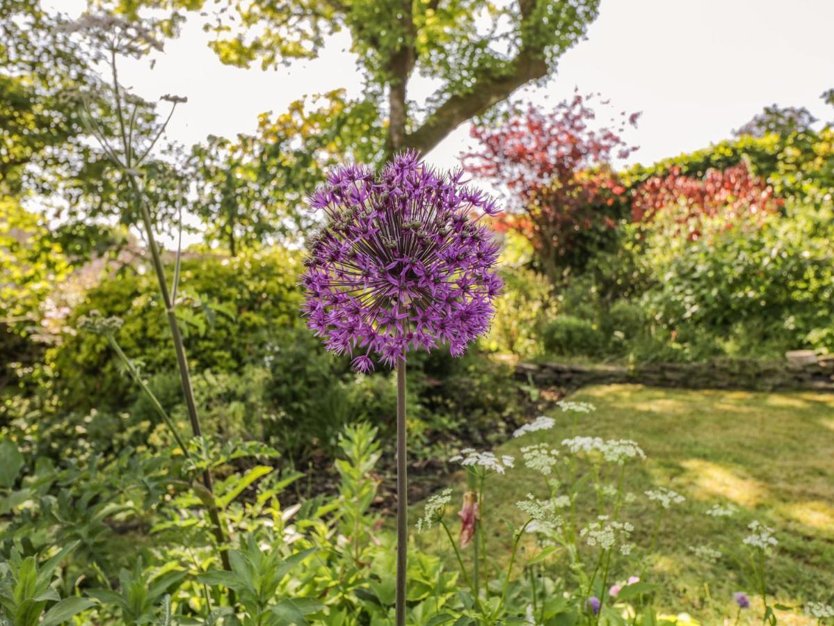Fox Den Cottage คาสเซิลโคมบ์ ภายนอก รูปภาพ